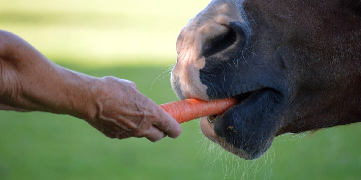 Les ulcères gastriques