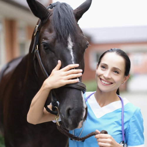 Capture d’écran 2025-11-02 184759