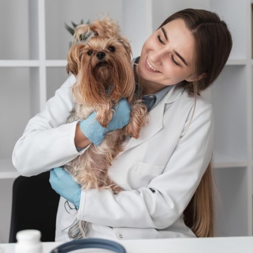 veterinaire-verifiant-la-sante-du-chiot
